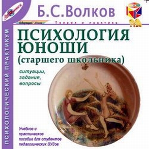 Психология юноши. Ситуации, задания, вопросы - Борис Волков